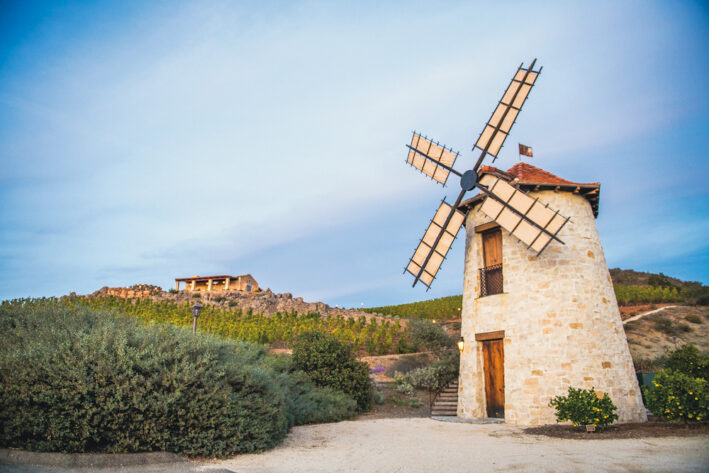 The hillside windmill on the property.