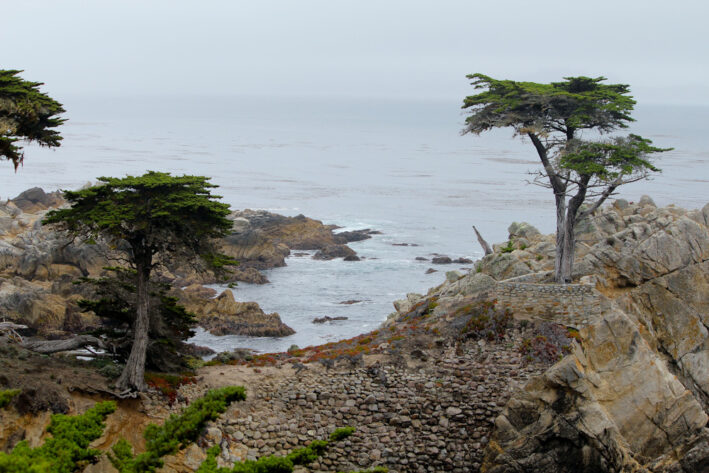 17 Mile Drive photo on a Big Sur California Roadtrip. Photo by Pixabay