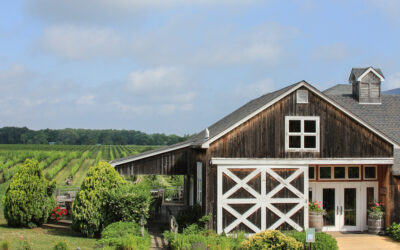 Exploring Long Island Wine Country