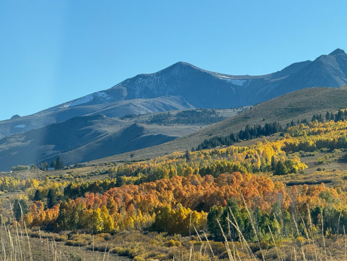 Highway 395 north of June Lake. Photo courtesy of Flickr.