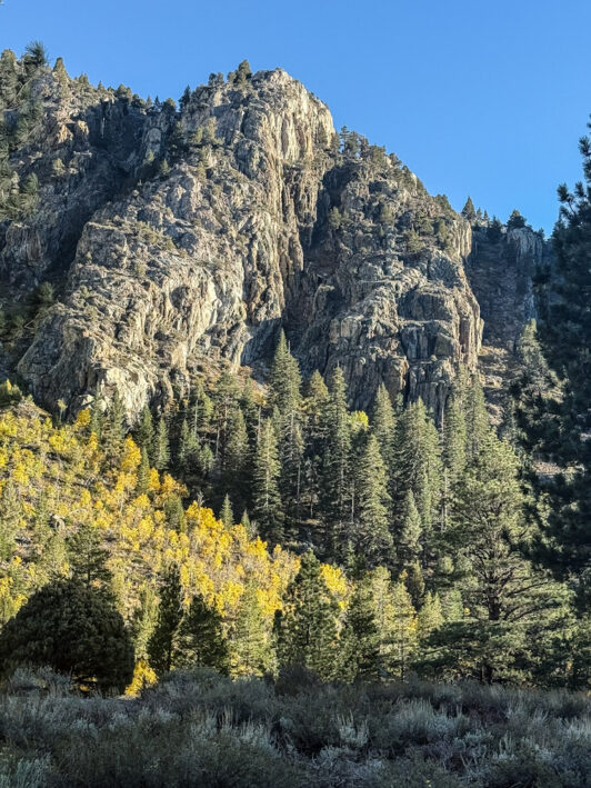 The June Lake Loop is great for fall colors in California.