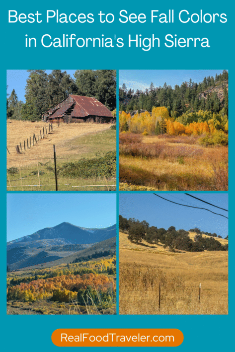Learn the Best Places to see fall colors in California's High Sierra.