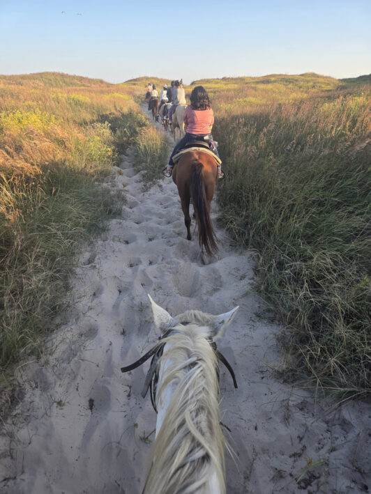 People riding horses on the beach on Padre Island.