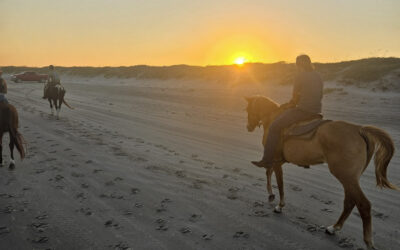 Padre Island Nature Adventures