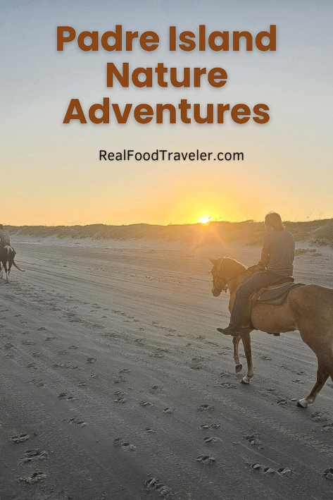 Padre Island Nature Adventures Pinterest Pin