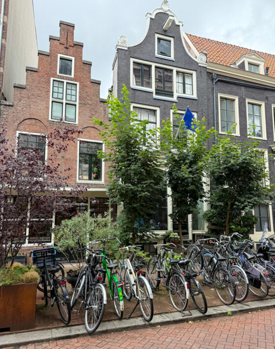 Bikes parked in Amsterdam.