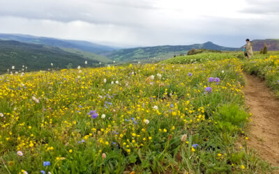 Protecting What’s Dear: Earth Day 2026