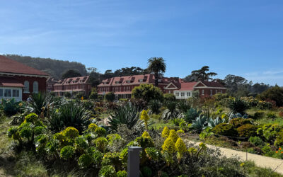 Staying and Playing at the Presidio