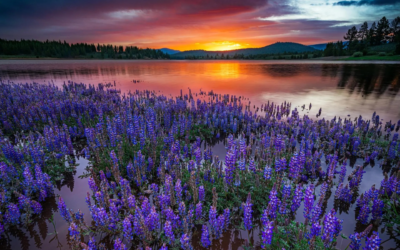 3-Day Itinerary in Truckee, California