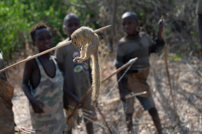Squirrel hunted by Hadzabe boys.