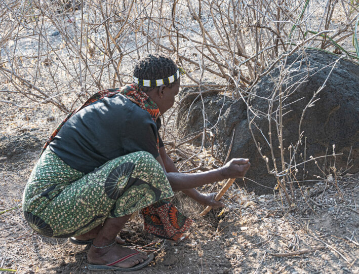 A Hadzabe woman digging for tubers with a stick.