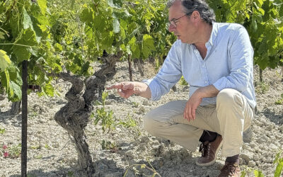 A Story Behind Sherry-Making in Jerez de la Frontera, Spain
